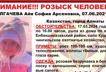 Двухлетнюю девочку ищут волонтёры в Алматинской области