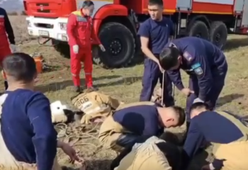 Түркістанда 29 жастағы қыз құдыққа құлап кетті