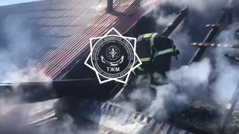  Кадр из видео 