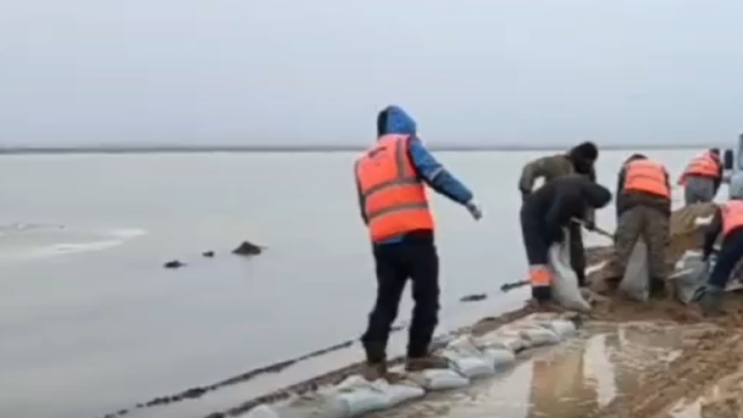  Видеодан кадр 