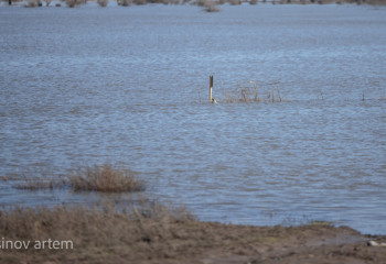 Ақтөбе облысында тағы бір жолды су басты