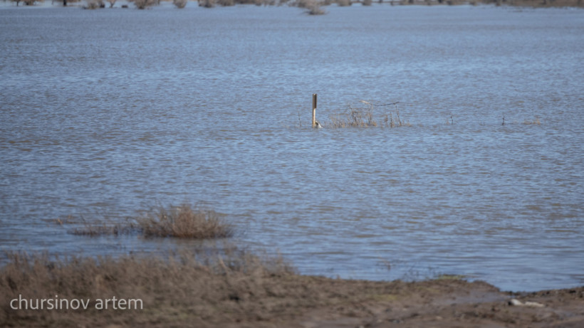 ©El.kz/Артем ЧУРСИНОВ 