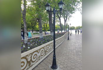 Зеленые насаждения в Петропавловске повредила стройкомпания: жители обратились в прокуратуру