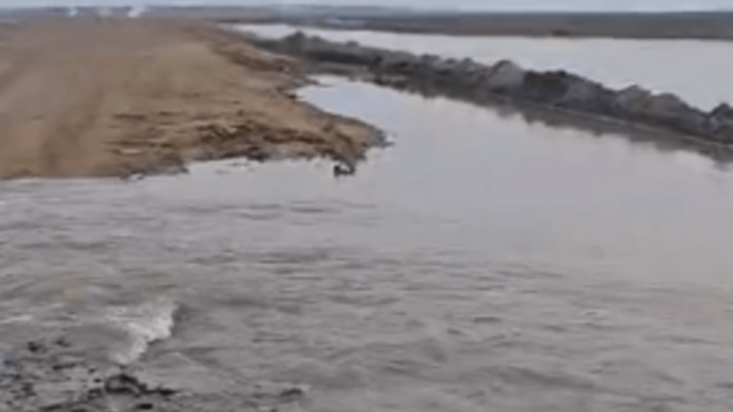  Видеодан кадр 