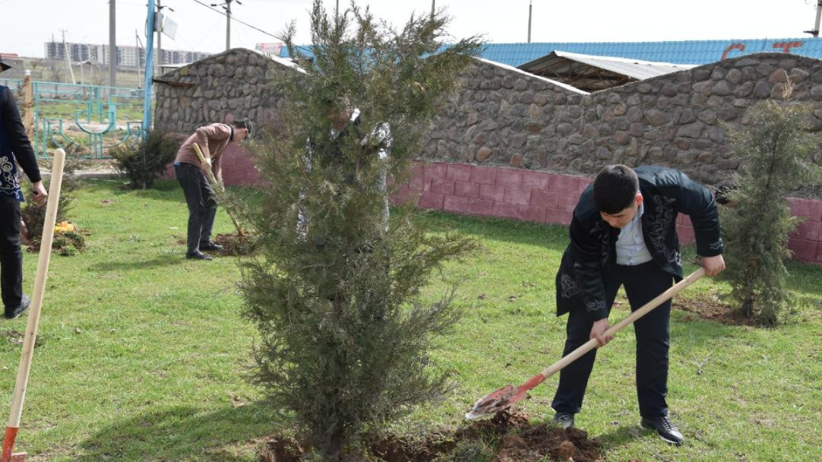 Жаңару күнінде Түркістан облысында 80 мыңға жуық ағаш егілді