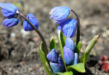 Алдағы мереке күндеріне ауа райы болжамы жасалды