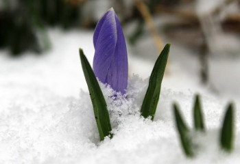 21 наурызға арналған ауа райы болжамы