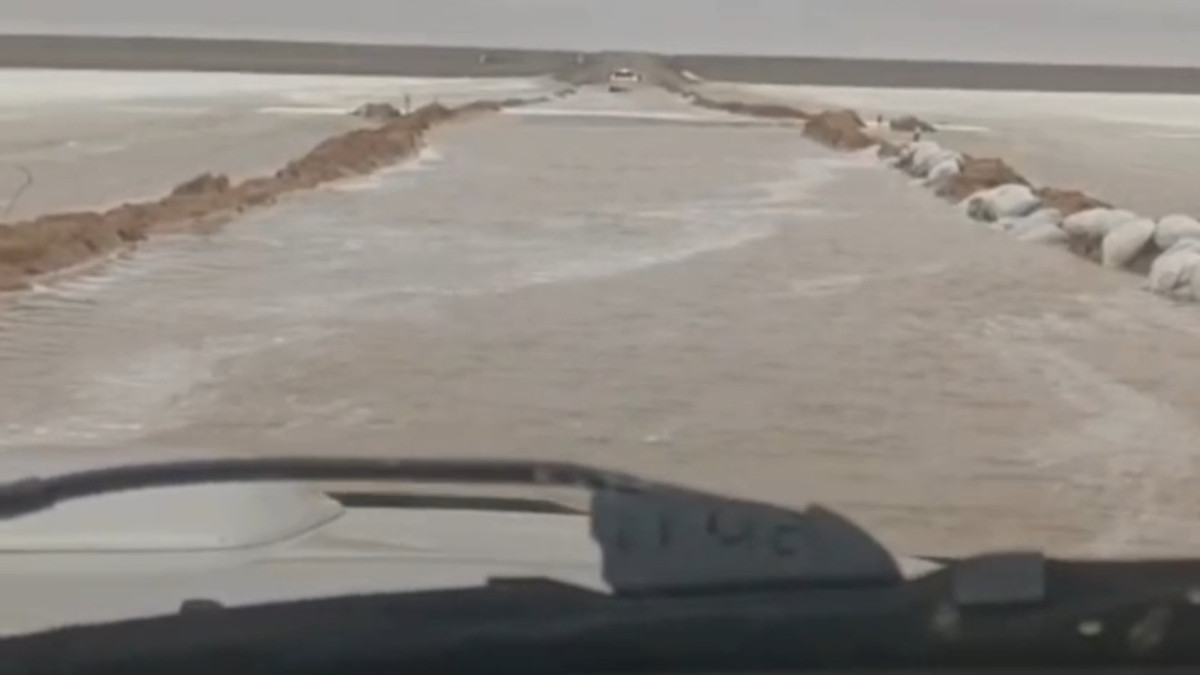  Видеодан кадр 