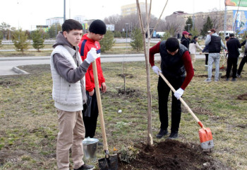 Жетысуский университет отметил День обновления