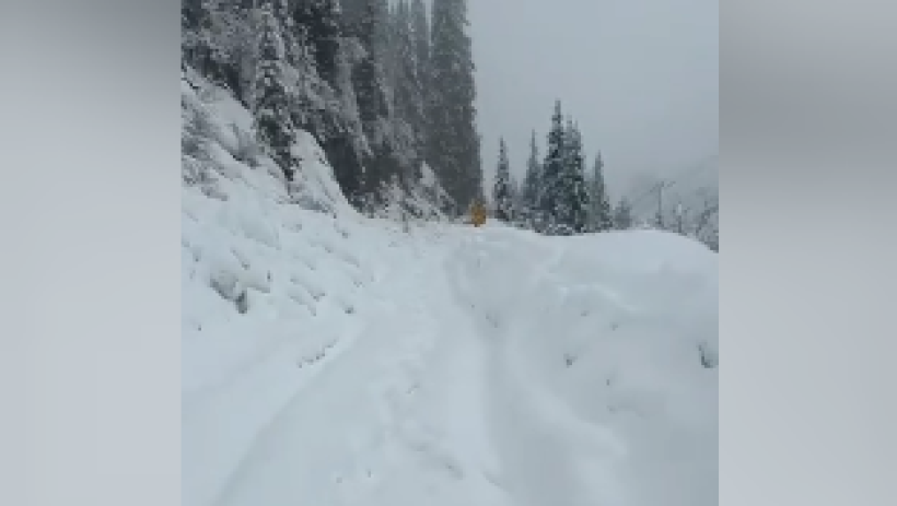  кадр из видео 