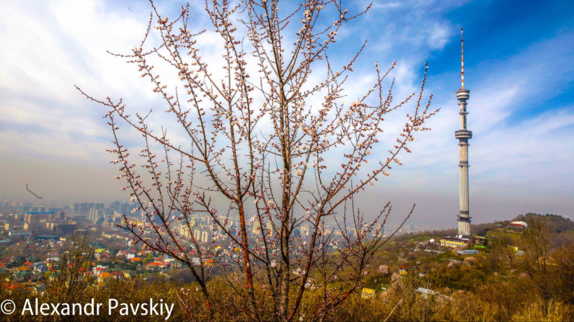  ©El.kz/Александр ПАВСКИЙ 