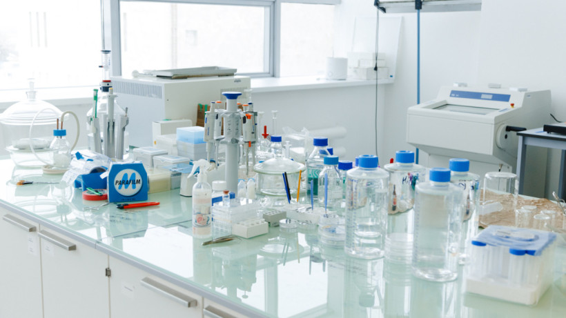  ©El.kz/Жалғасбек ТОҚТАМЫСОВ 