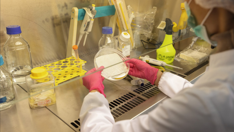  © El.kz / Артем ЧУРСИНОВ 