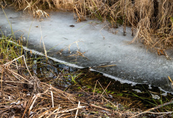 Ақтөбе облысында 4 жасар бала еріген қар суына тұншығып көз жұмды