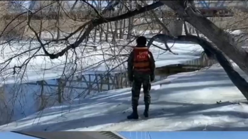  Видеодан кадр 