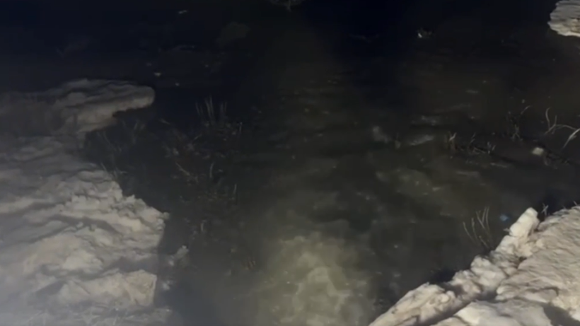  Видеодан кадр 