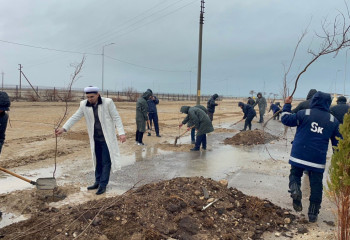 Маңғыстауда Құрық ауылын көгалдандыру жұмыстары басталды