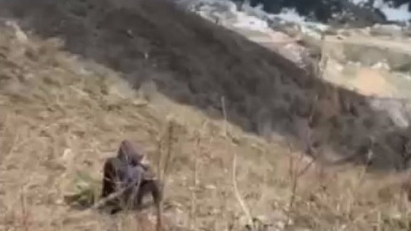  Кадр из видео 