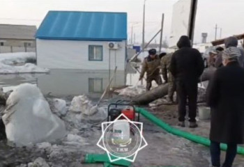 Қостанайда 12 тұрғын үй мен 20 ауланы су басты