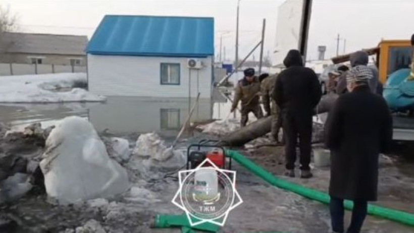  Видеодан кадр 