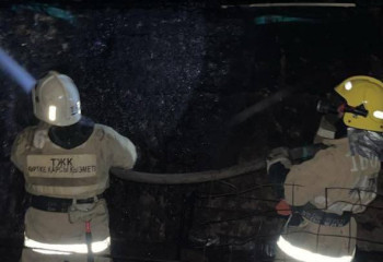 Жамбыл облысында 48 бас мал тірідей жанып кетті