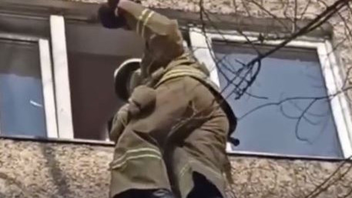 Пожарные Алматы спасли застрявшего в окне кота