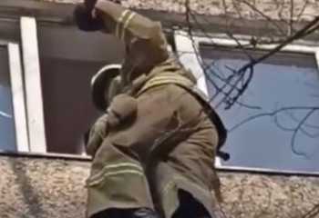 Пожарные Алматы спасли застрявшего в окне кота