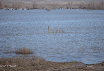 4-летний малыш захлебнулся в талой воде