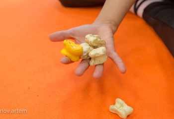 Бүгін Ақтауда асық атудан ҚР чемпионаты басталды