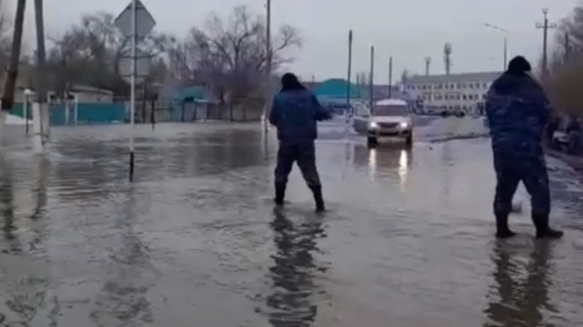  Видеодан кадр 