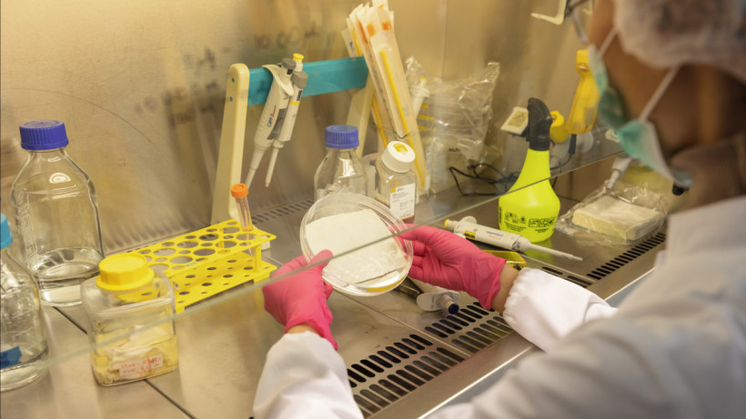  ©El.kz/Артем ЧУРСИНОВ 