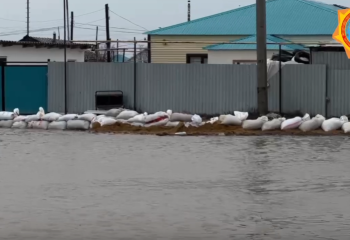 220 человек направлены в Актюбинскую область для ускорения ликвидации последствий паводков