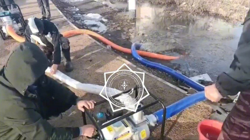  Видеодан кадр 