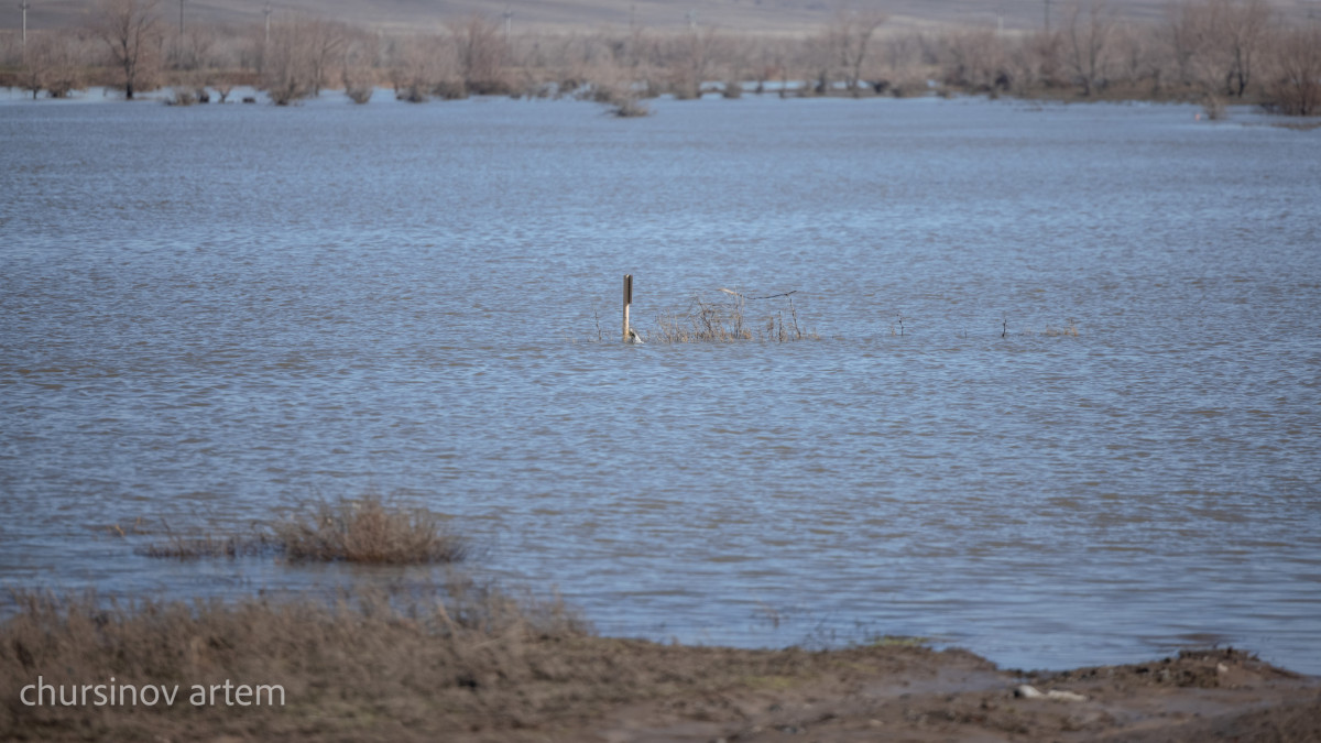  ©El.kz/Артем ЧУРСИНОВ 