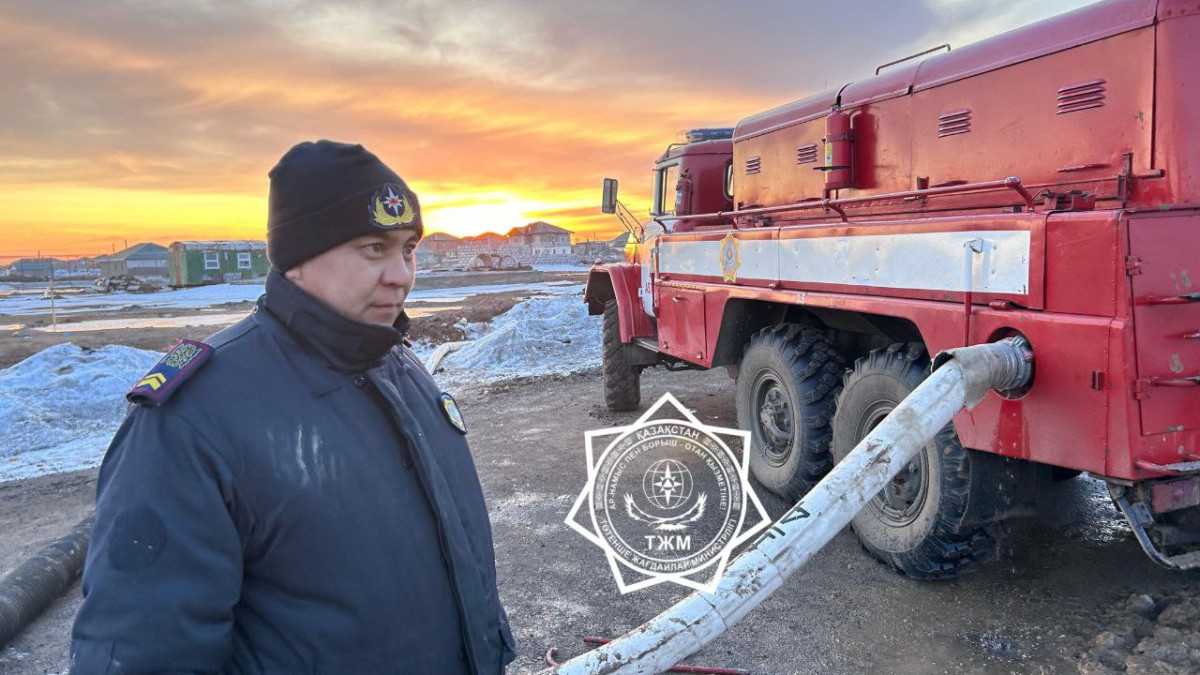  Видеодан кадр 