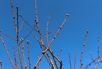 Наурыздың соңғы күндері ауа райы қандай болады