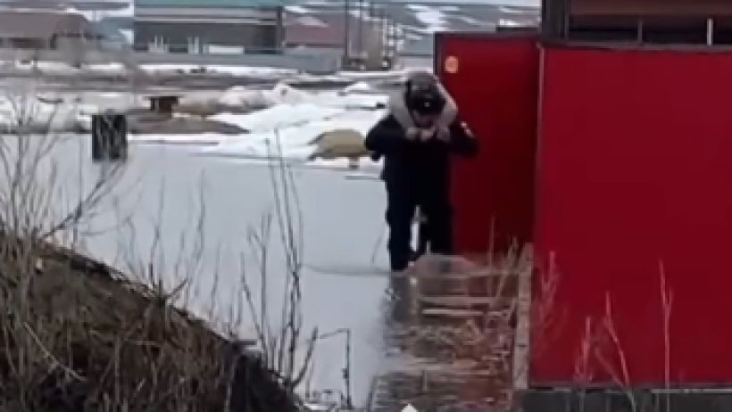  Видеодан кадр 