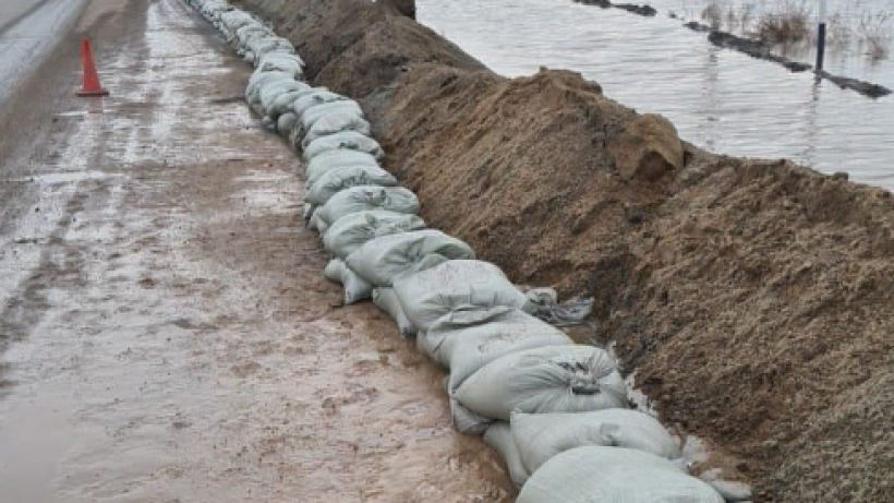  Видеодан кадр 