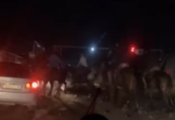 Алматы облысында жолда көкпар ойнағандар жазаланды