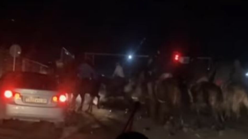  Видеодан кадр 