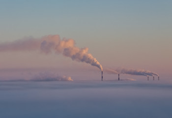 Ауаның ластануы адамға ғана емес, табиғатқа да зиян