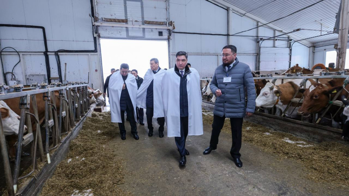  пресс-служба Правительства РК 