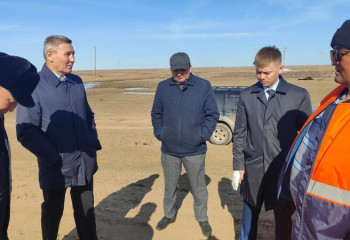 В Минсельхозе прокомментировали падеж скота в области Улытау