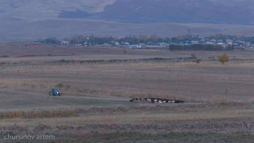  ©El.kz/Артем ЧУРСИНОВ 