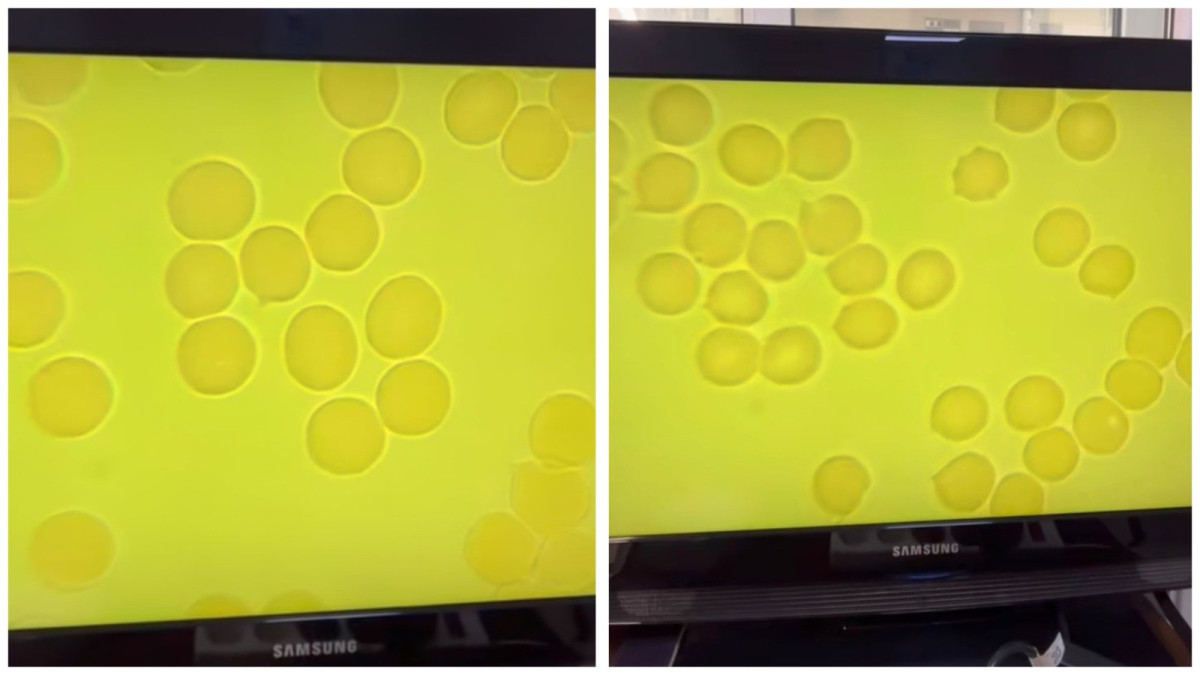  Скриншот видео 