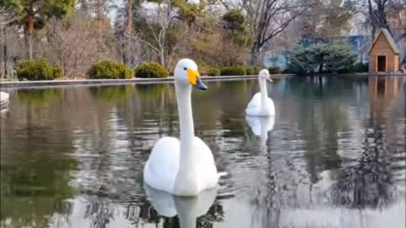  Видеодан кадр 