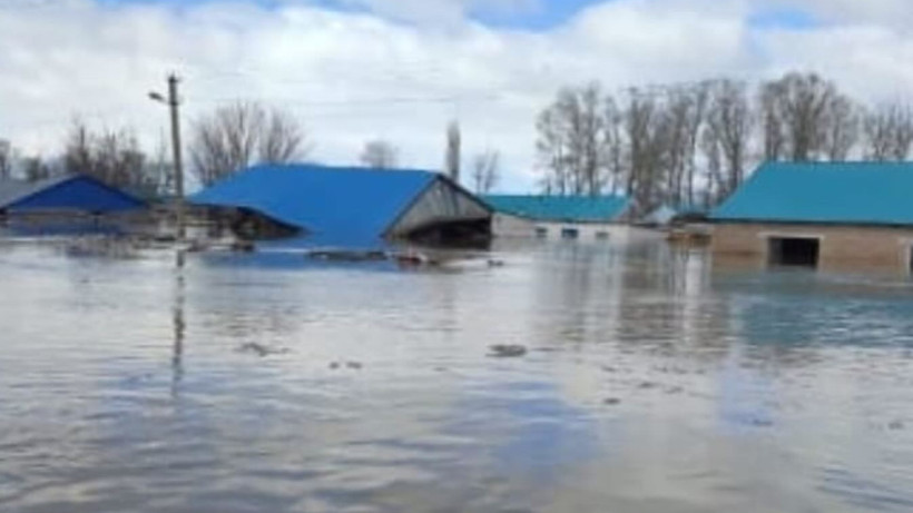  Димаш Құдайбергеннің парақшасы 