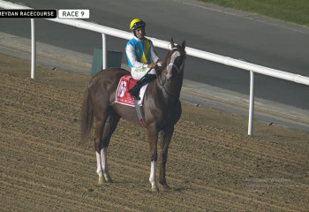В Дубае завершились скачки с участием казахстанского скакуна Кабирхана