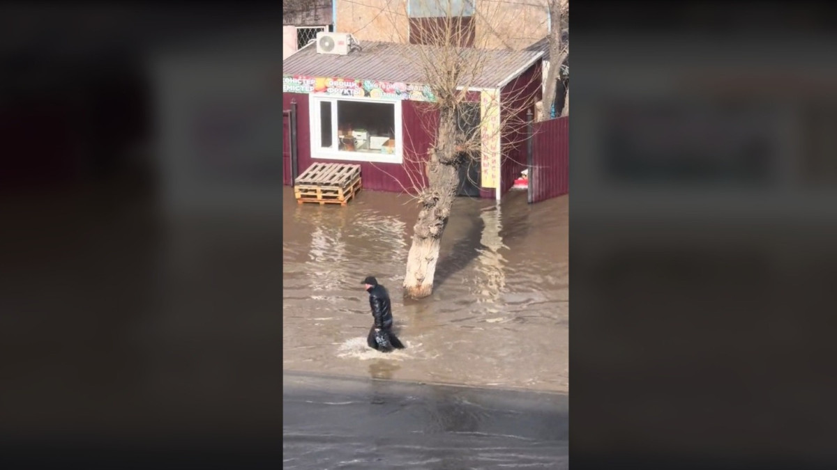  Кадр из видео 