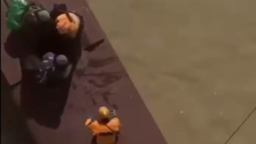  Кадр из видео 